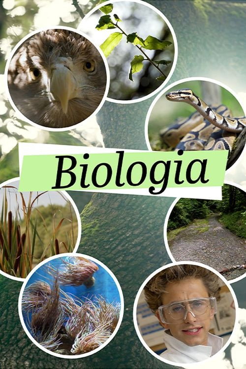 Series poster for Biologia (2024)
