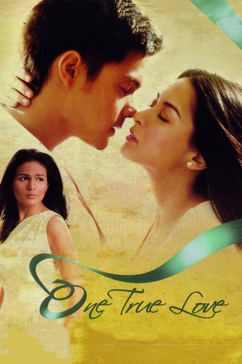 Movie poster for One True Love (2008)