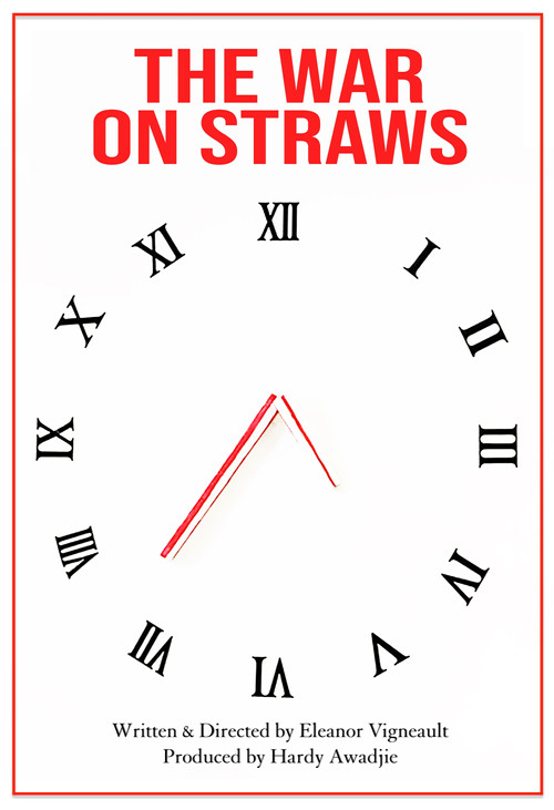 The War on Straws poster