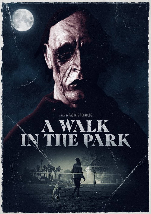 Movie poster for A Walk in the Park (2022)