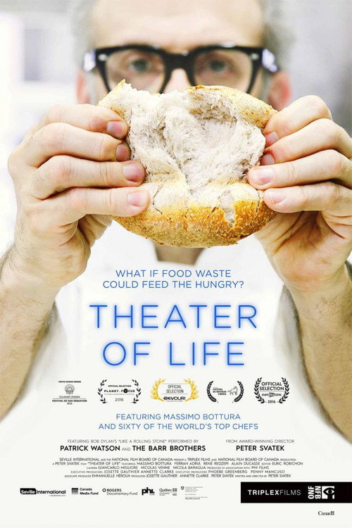 Movie poster for Theatre of Life (2016)