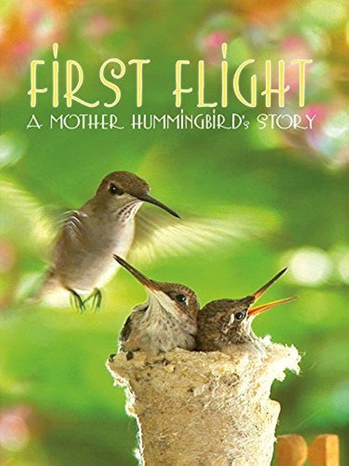 Movie poster for First Flight: A Mother Hummingbird's Story (2009)