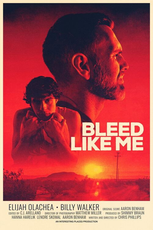 Movie poster for Bleed Like Me