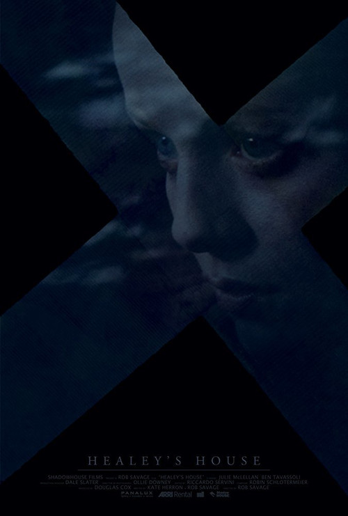 Movie poster for Healey's House (2014)