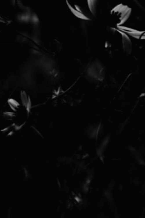 Movie poster for Noon (2015)