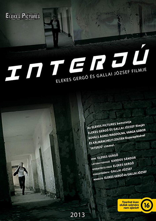 Movie poster for Interjú (2013)