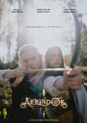 Movie poster for Aerindor: The silent sacrifice (2024)
