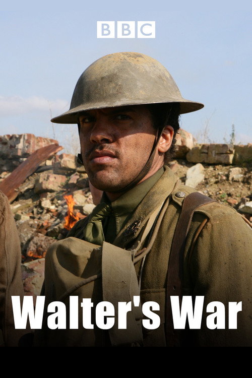 Movie poster for Walter's War (2008)