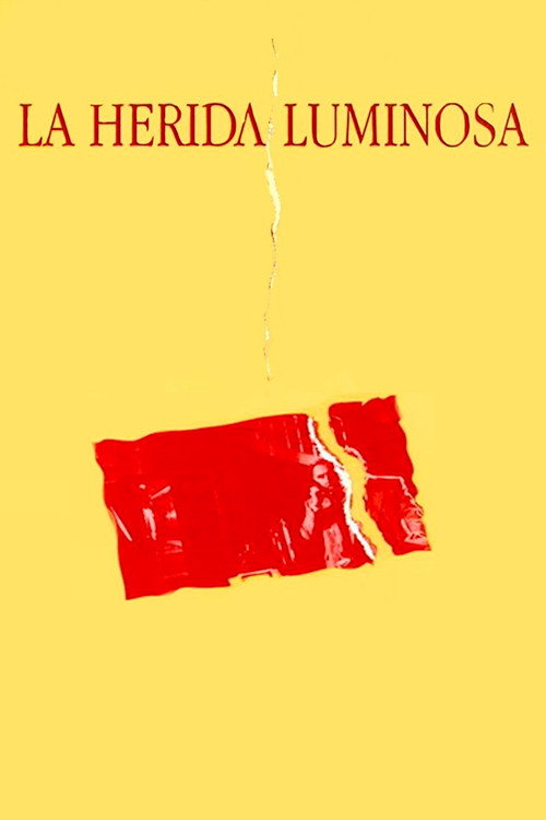 Movie poster for La herida luminosa (1997)