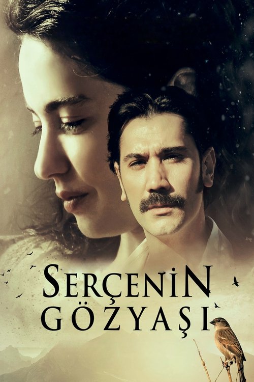 Movie poster for The Sparrow's Tear (2023)