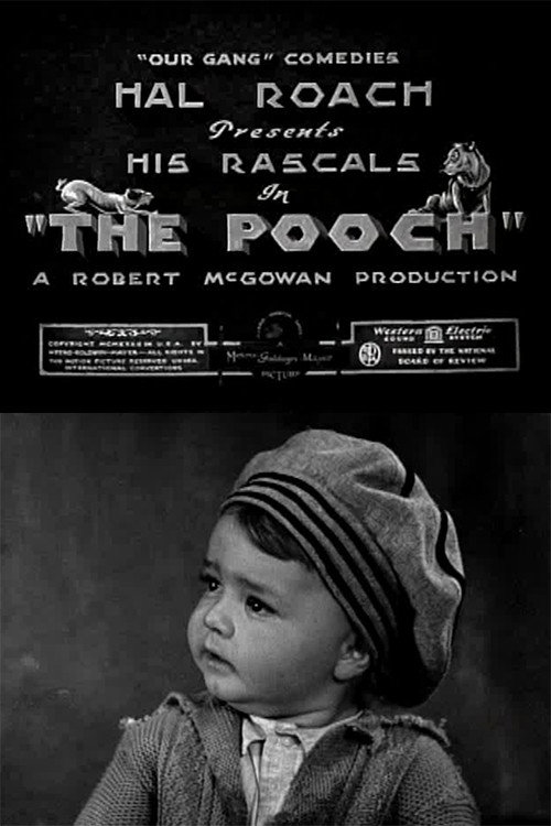 Movie poster for The Pooch (1932)