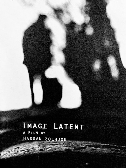 Movie poster for Image Latent (2013)