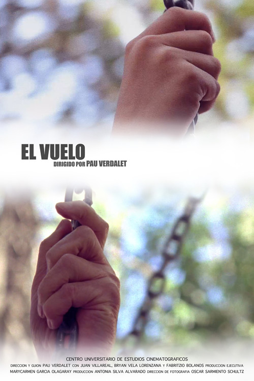 Movie poster for El vuelo (2017)