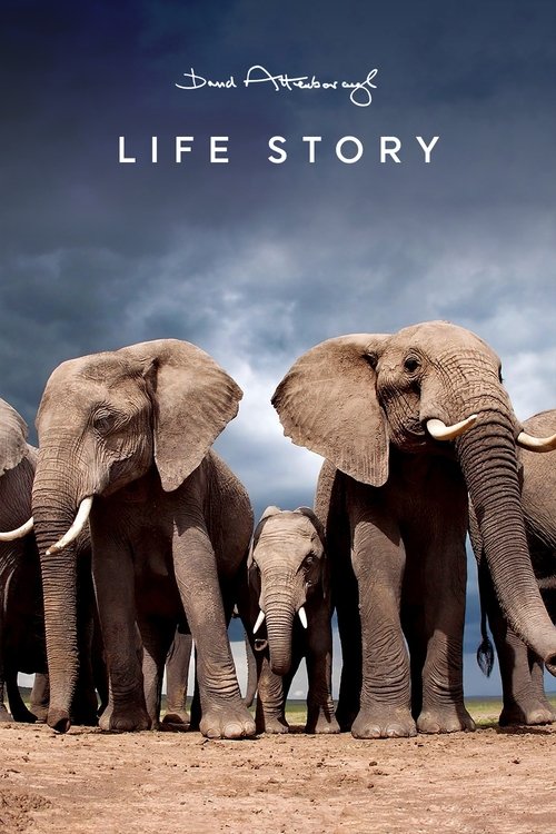 Life Story poster