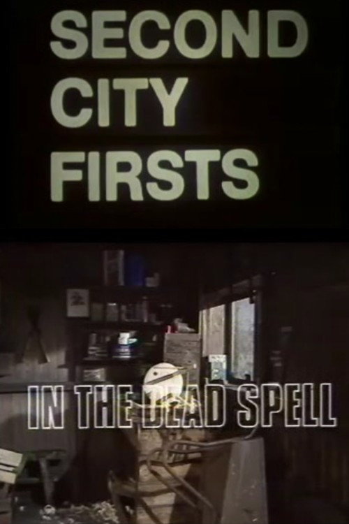 Movie poster for In The Dead Spell (1977)