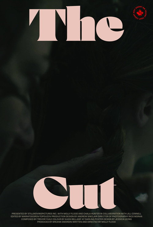Movie poster for The Cut (2024)
