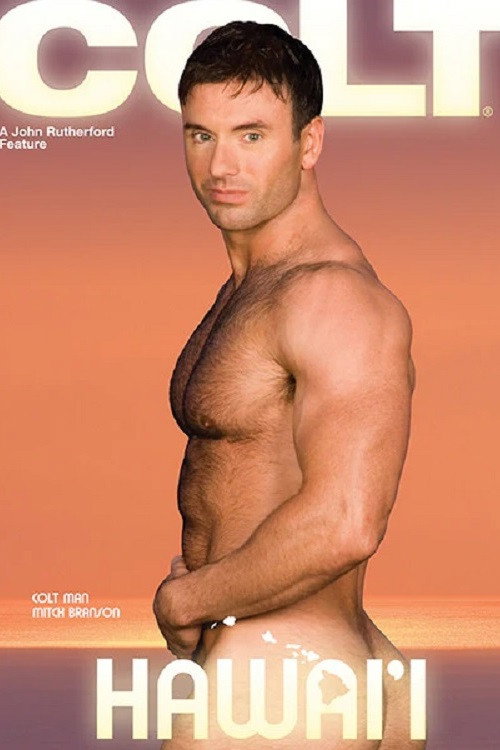 Movie poster for Hawai'i (2007)