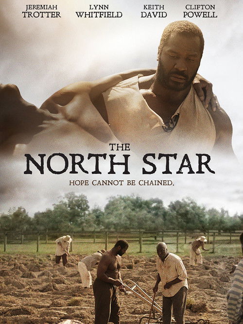 Movie poster for The North Star (2016)