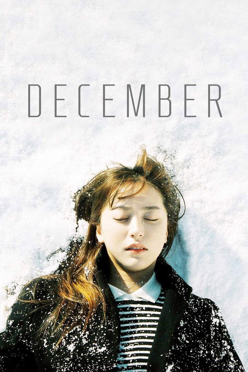Movie poster for December (2014)