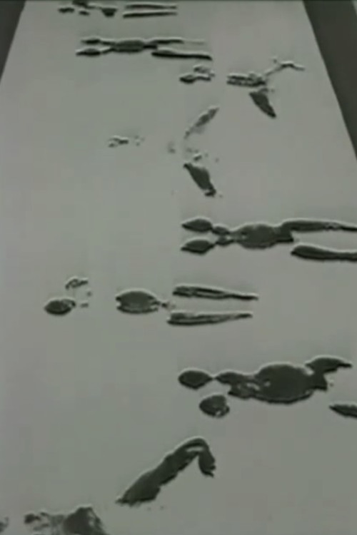 Movie poster for Anthropometries of the Blue Period and Fire Paintings (1960)