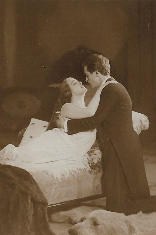 Movie poster for Countess Donelli (1924)