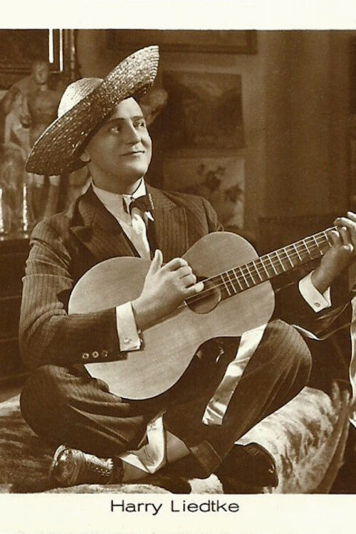 Movie poster for Der Faschingsprinz (1928)