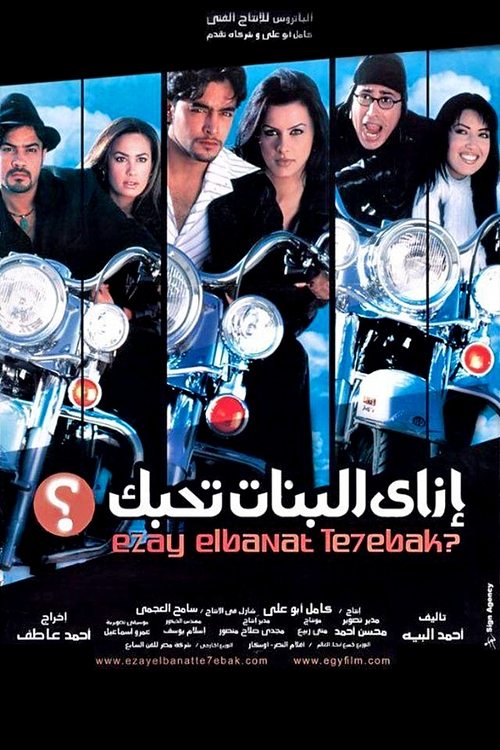 Movie poster for How to Get Girls to Fall for You (2003)