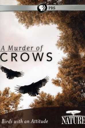 Movie poster for A Murder of Crows (2010)