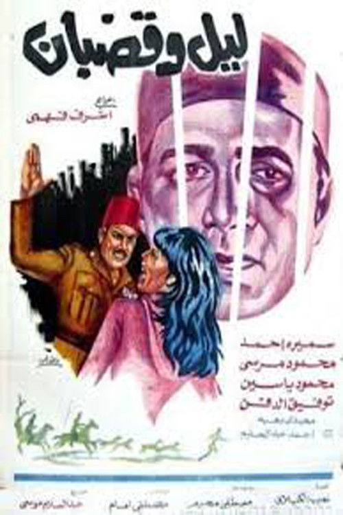 Movie poster for Night and Jail Bars (1973)