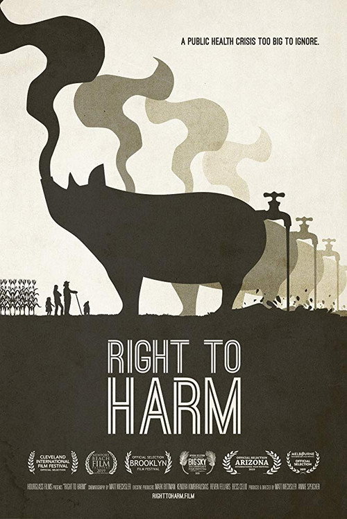 Movie poster for Right to Harm (2019)