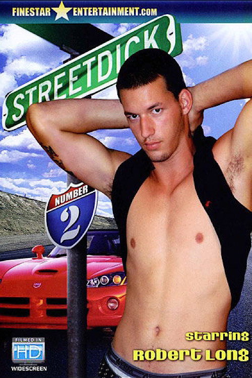Movie poster for Street Dick 2 (2008)