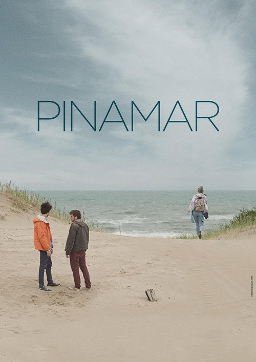 Movie poster for Pinamar (2016)