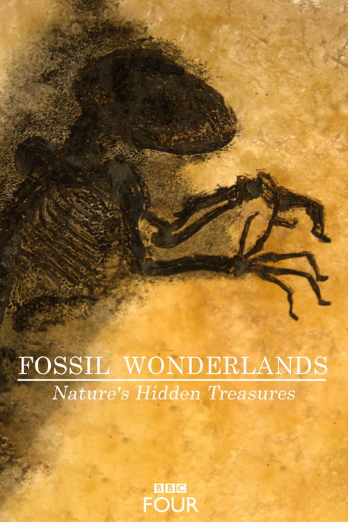 Series poster for Fossil Wonderlands: Nature's Hidden Treasures (2014)