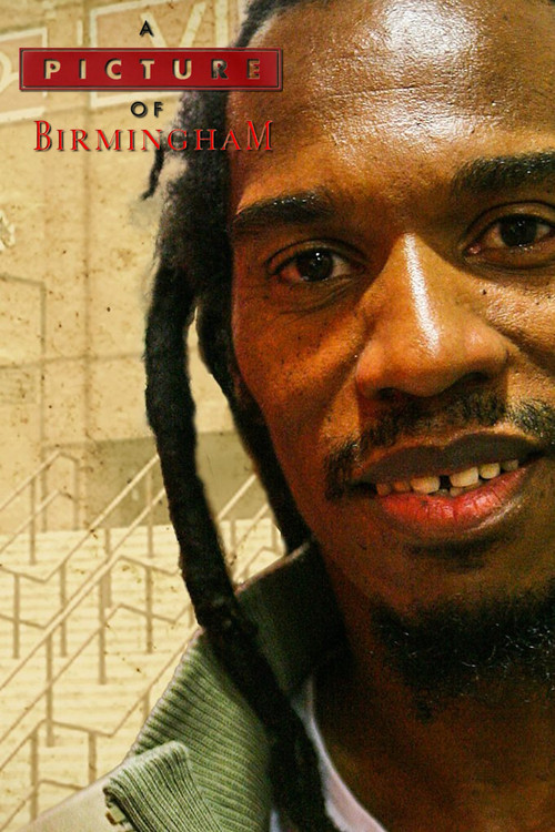 Movie poster for A Picture of Birmingham, by Benjamin Zephaniah (2005)