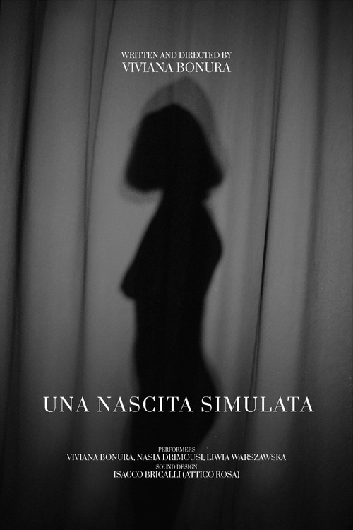 Movie poster for Una nascita simulata