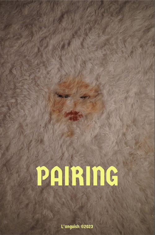 Movie poster for Pairing
