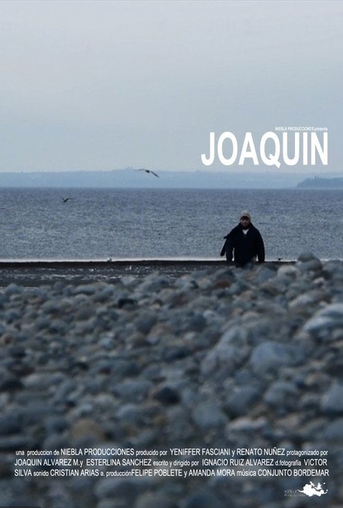 Movie poster for Joaquín (2011)