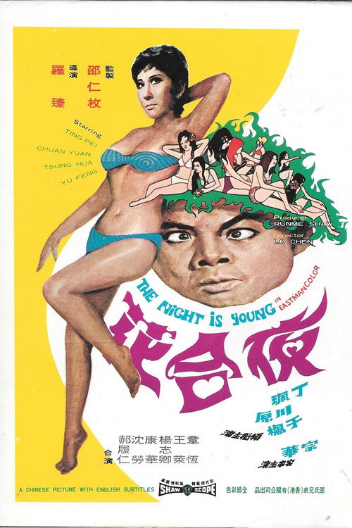 Movie poster for The Night Is Young (1971)