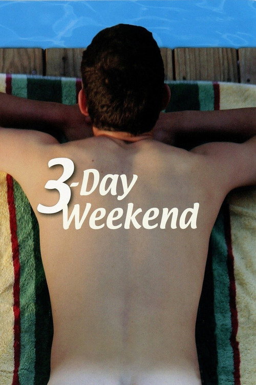 Movie poster for 3-Day Weekend (2008)