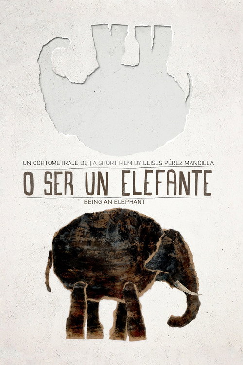 Movie poster for Being an Elephant (2013)