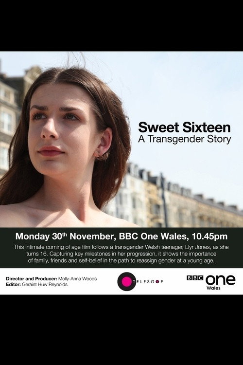 Movie poster for Sweet Sixteen: A Transgender Story (2017)