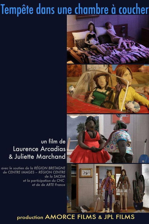Movie poster for Tempête dans une chambre à coucher (2011)