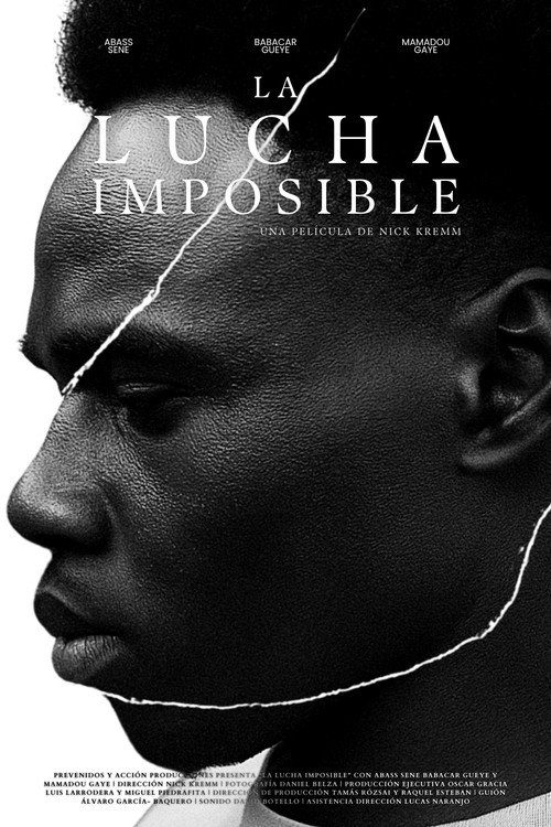 Movie poster for The Impossible Fight