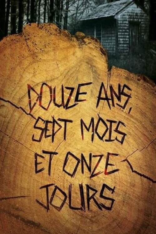 Movie poster for 12 years, 7 months and 11 days (2024)