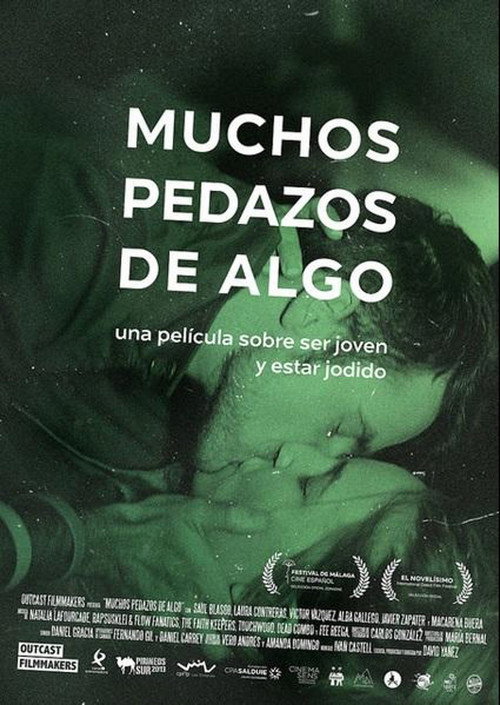 Movie poster for Many Pieces of Something (2015)