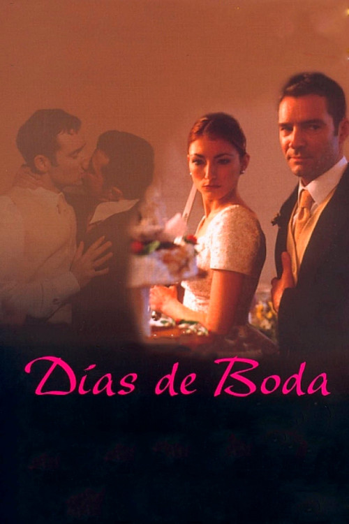 Movie poster for Días de voda (2002)