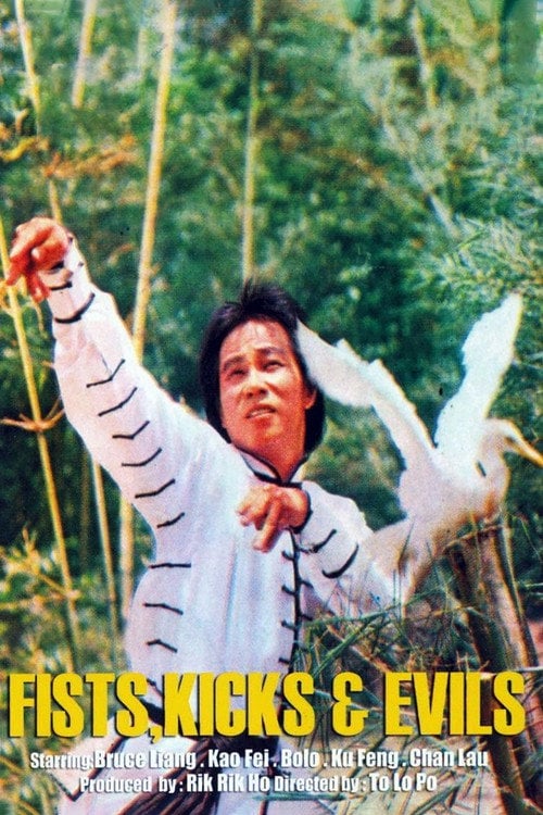Movie poster for The Fists, the Kicks and the Evils (1979)