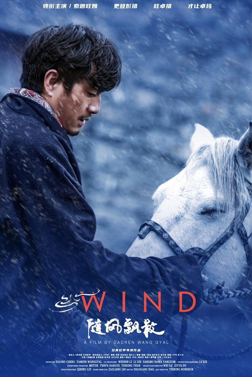 Movie poster for Wind (2020)