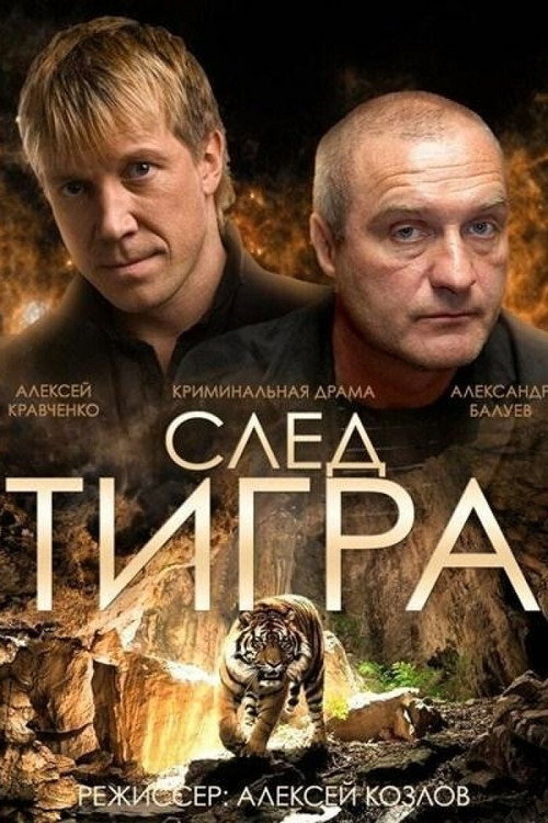 Movie poster for Tiger Trail (2014)