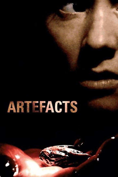 Movie poster for Artifacts (2007)